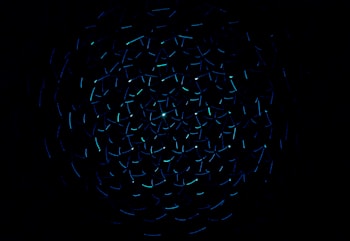 light decorations in dark area