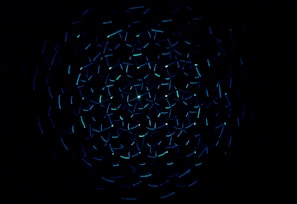 light decorations in dark area