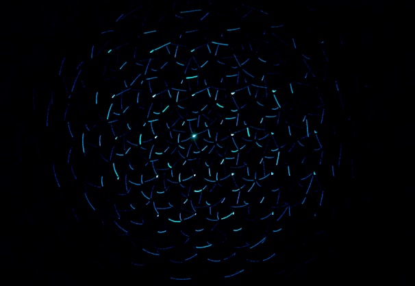 light decorations in dark area