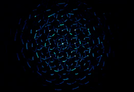 足球比赛直播画面特写，球员带球突破瞬间