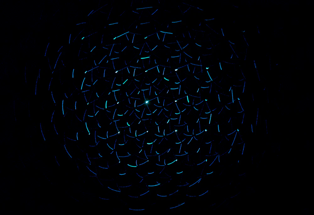 Mesin Innova Reborn 1TR-FE