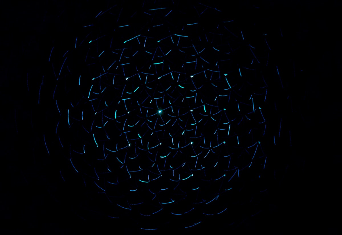 Электросёрфборд — вид сверху