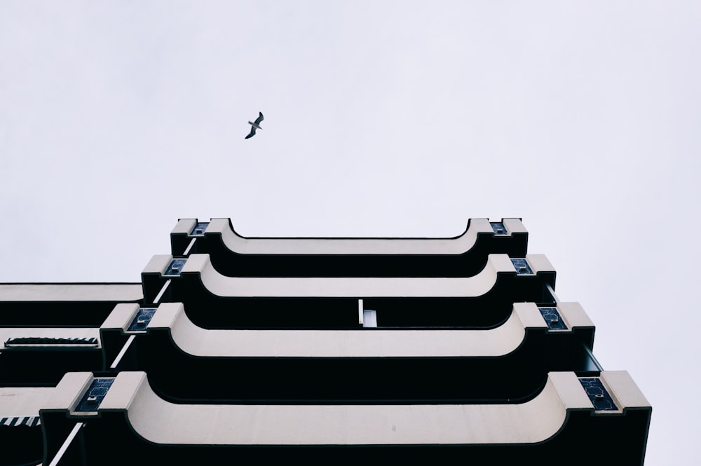 low angle photography of soaring eagle above building