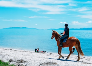 man riding on brown horse during daytime