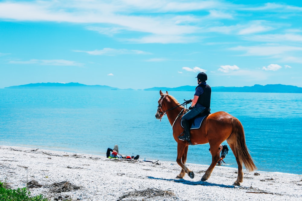 man riding on brown horse during daytime