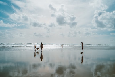 A serene beach scene with travelers enjoying a peaceful moment with their pets.