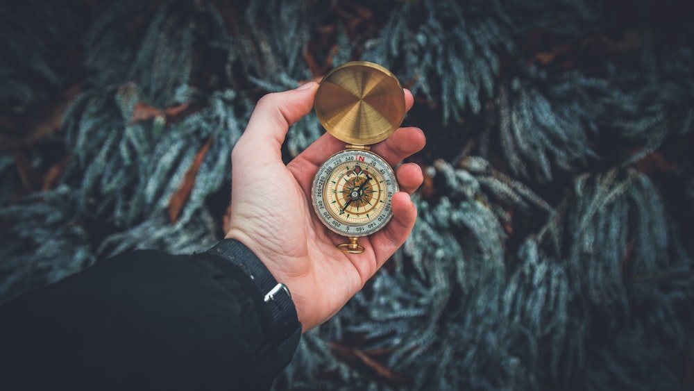 person holding brass-colored compass