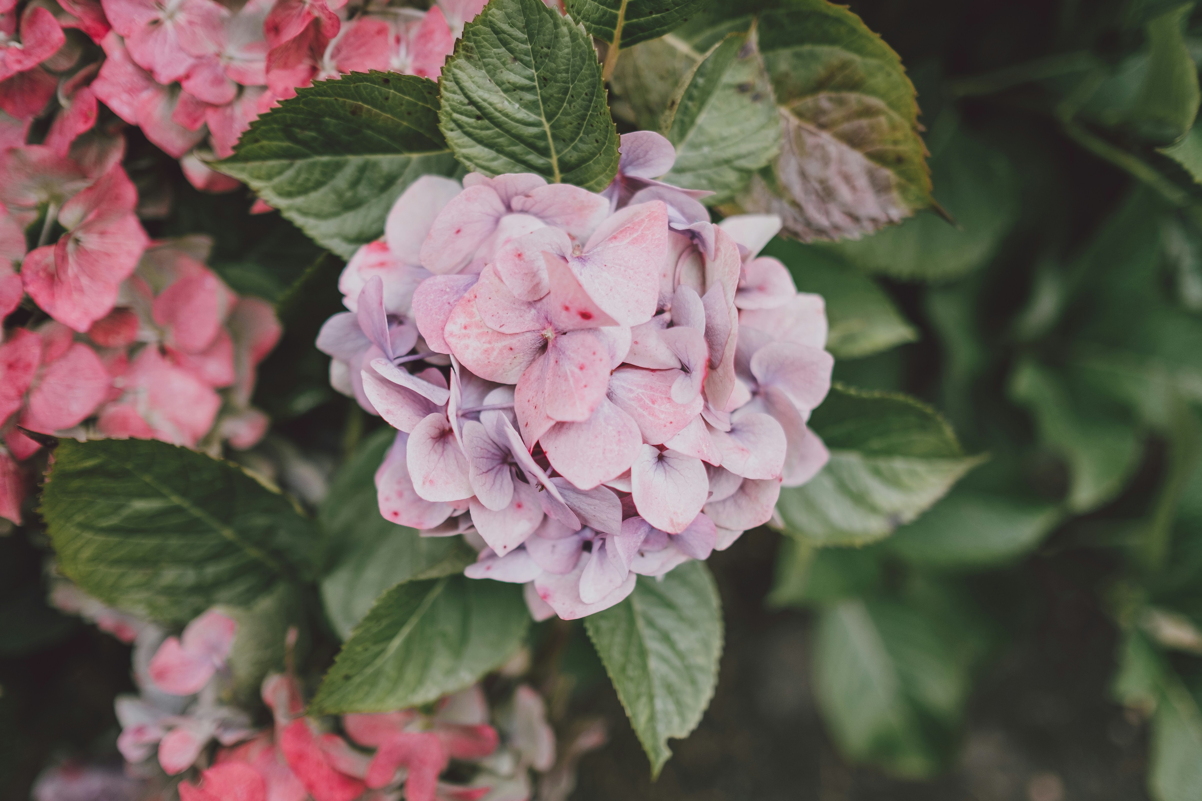 Photo by anniespratt