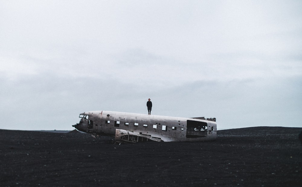 person standing on crushed plane