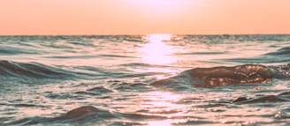 A calm ocean horizon at sunset with gentle waves reflecting warm colors.