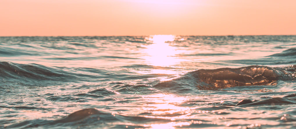 Sunset view over a calm beach with gentle waves and palm trees swaying.