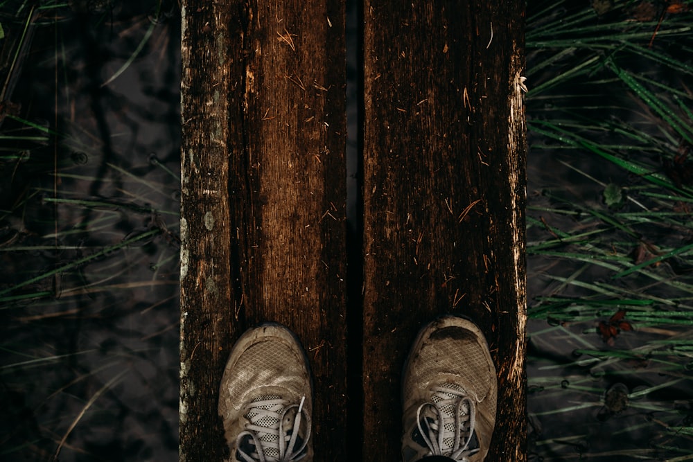 deux chaussures brunes sur deux planches de bois marron