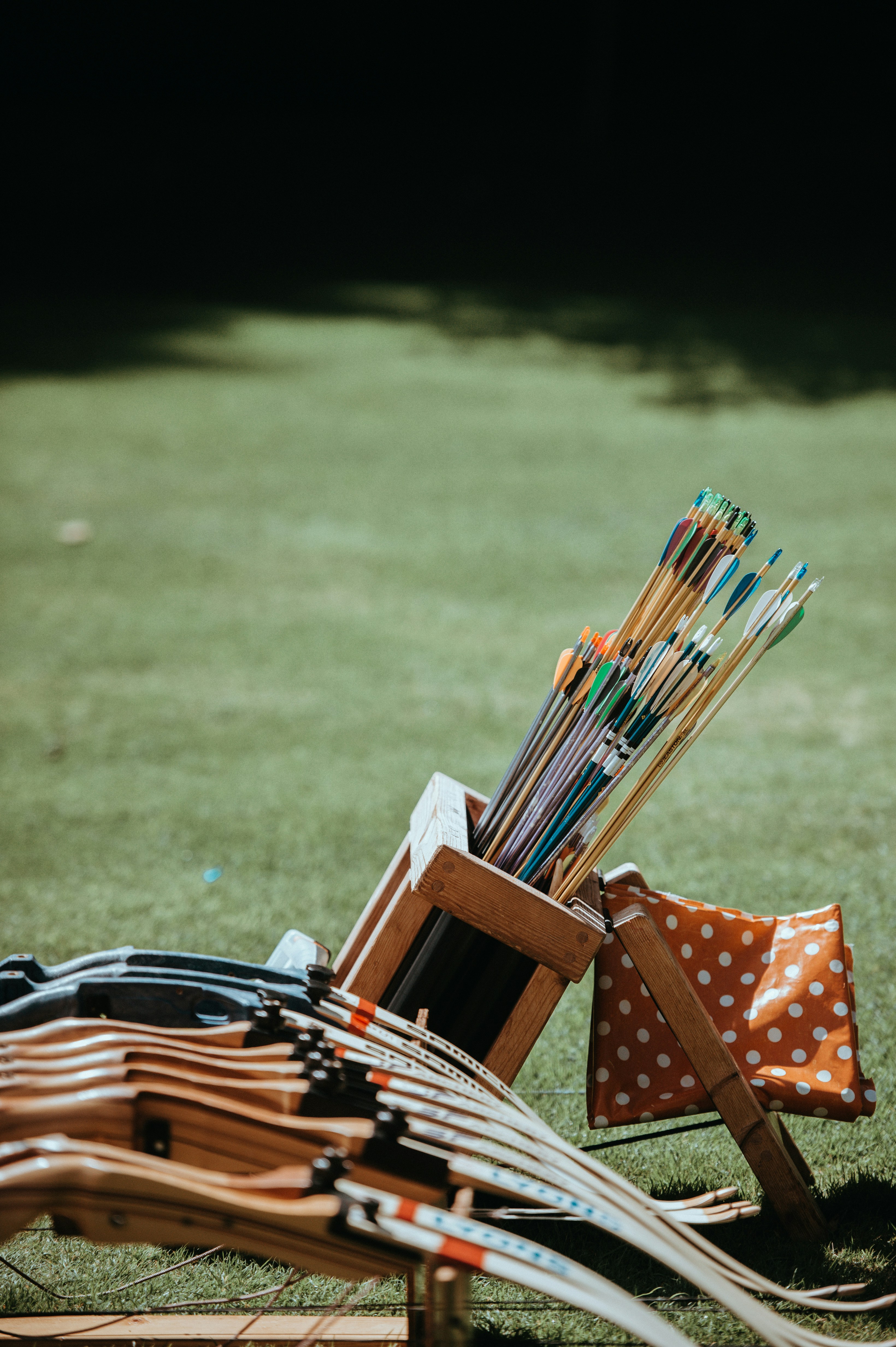 Bow Hunting for Beginners: Learn How to Bow Hunt