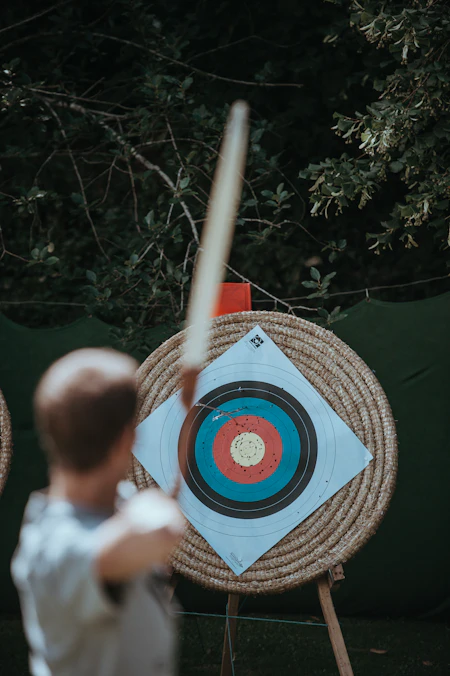 Arrows in an archery target