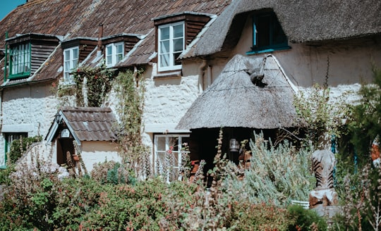house near garden at daytime in Somerset United Kingdom