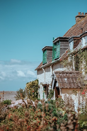 A charming cottage with green window shutters and a tiled roof is surrounded by lush greenery and flowering plants. The sky is clear and blue, adding to the serene rural atmosphere.