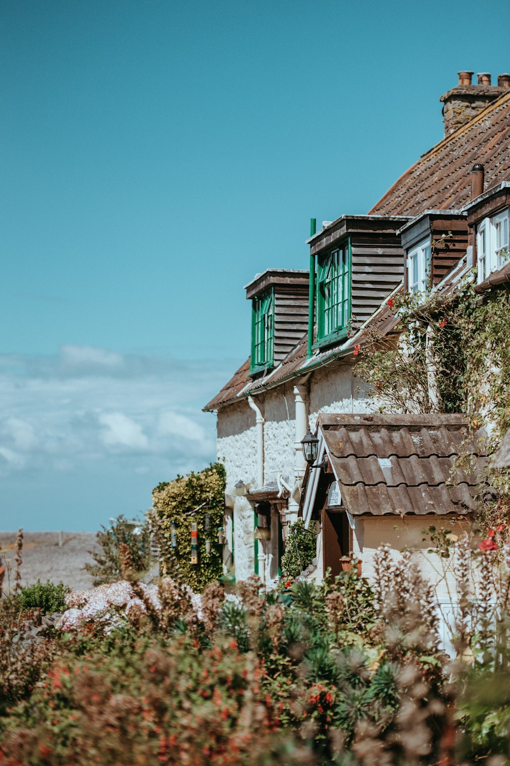 Photographie sélective de la mise au point d’un bâtiment en béton blanc et brun