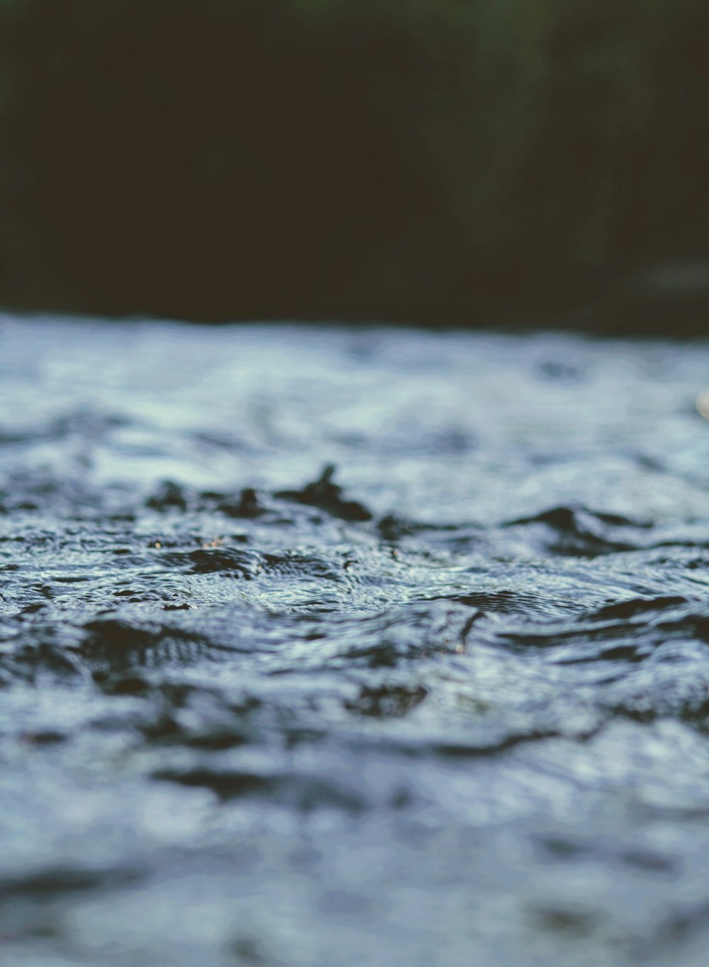 macro shot body of water