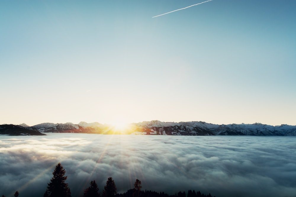 silhouette of trees beside clouds