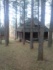 A rustic cabin nestled among tall pine trees with smoke curling from the chimney.
