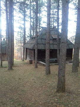 A rustic cabin nestled among tall pine trees with smoke curling from the chimney.