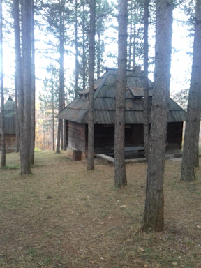 A peaceful cabin nestled among tall trees at sunset, inviting calm and connection.