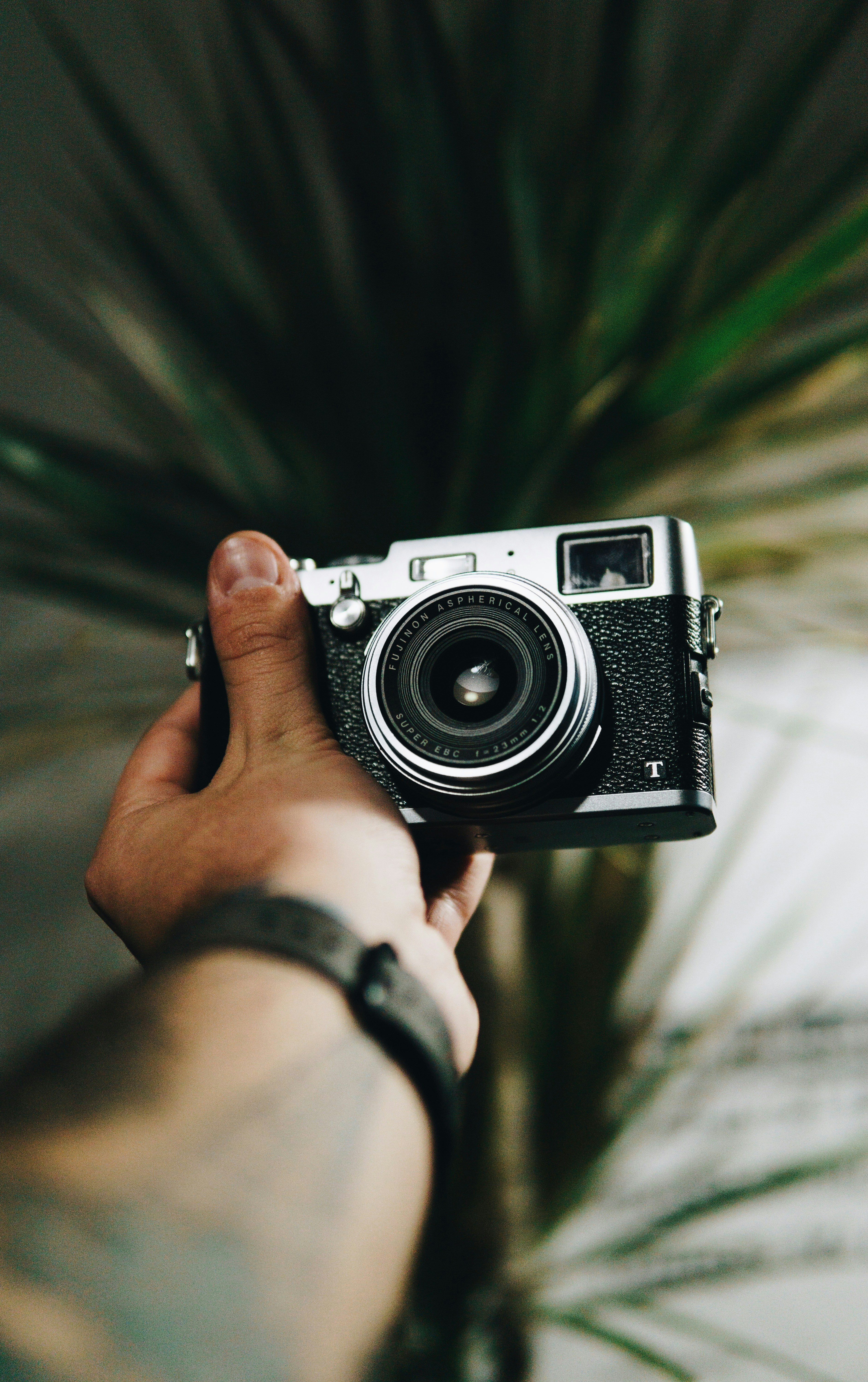 person holding black and gray SLR camera