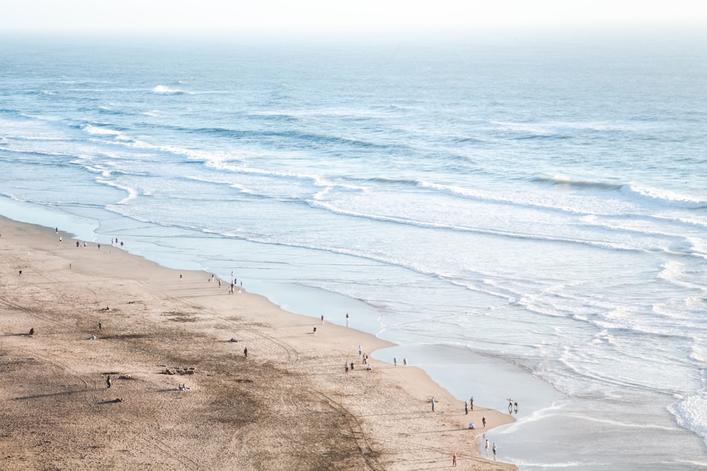 Menschen tagsüber am Strand