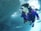 A scuba diver is underwater next to a large school of fish, wearing a purple wetsuit and dive equipment including an air tank and mask. Sunlight filters through the water, creating a serene and vibrant underwater scene.