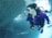 A scuba diver is underwater next to a large school of fish, wearing a purple wetsuit and dive equipment including an air tank and mask. Sunlight filters through the water, creating a serene and vibrant underwater scene.
