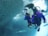 A scuba diver is underwater next to a large school of fish, wearing a purple wetsuit and dive equipment including an air tank and mask. Sunlight filters through the water, creating a serene and vibrant underwater scene.