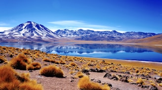 A stunning image of a 4K landscape on a flat-screen TV.