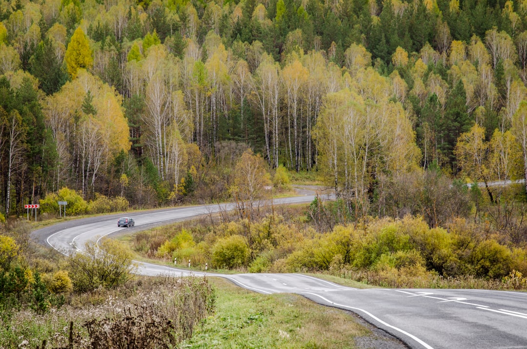 black car on gray road