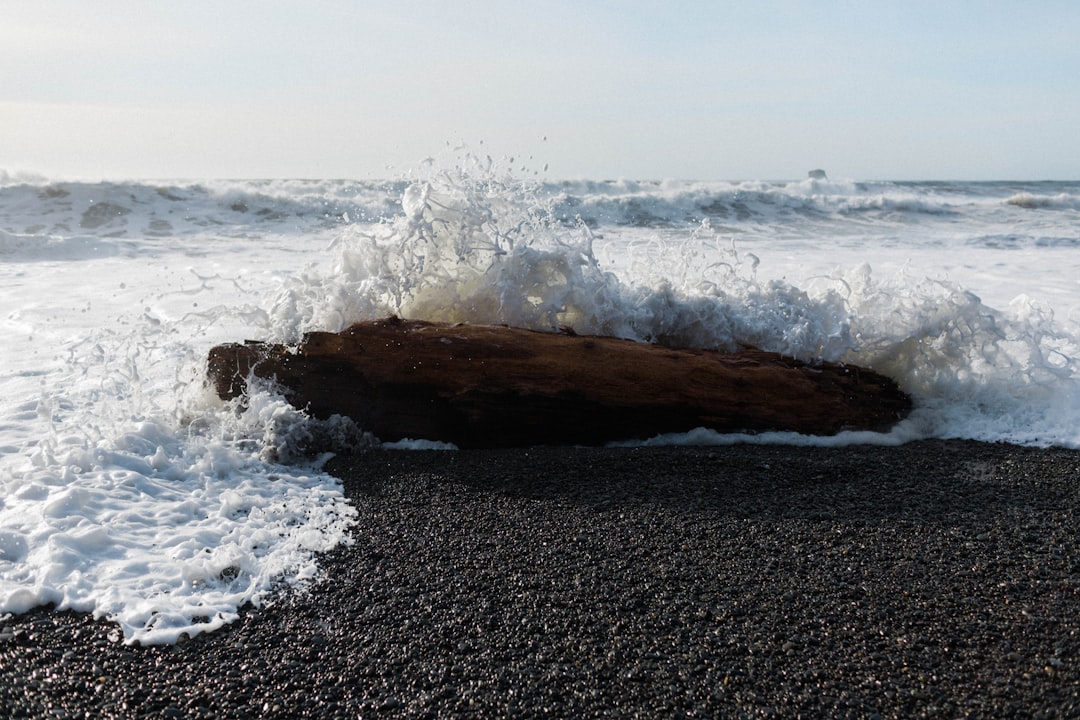 sea waves during daytime