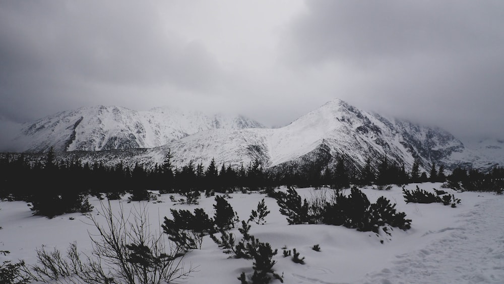 snow covered mountain photography