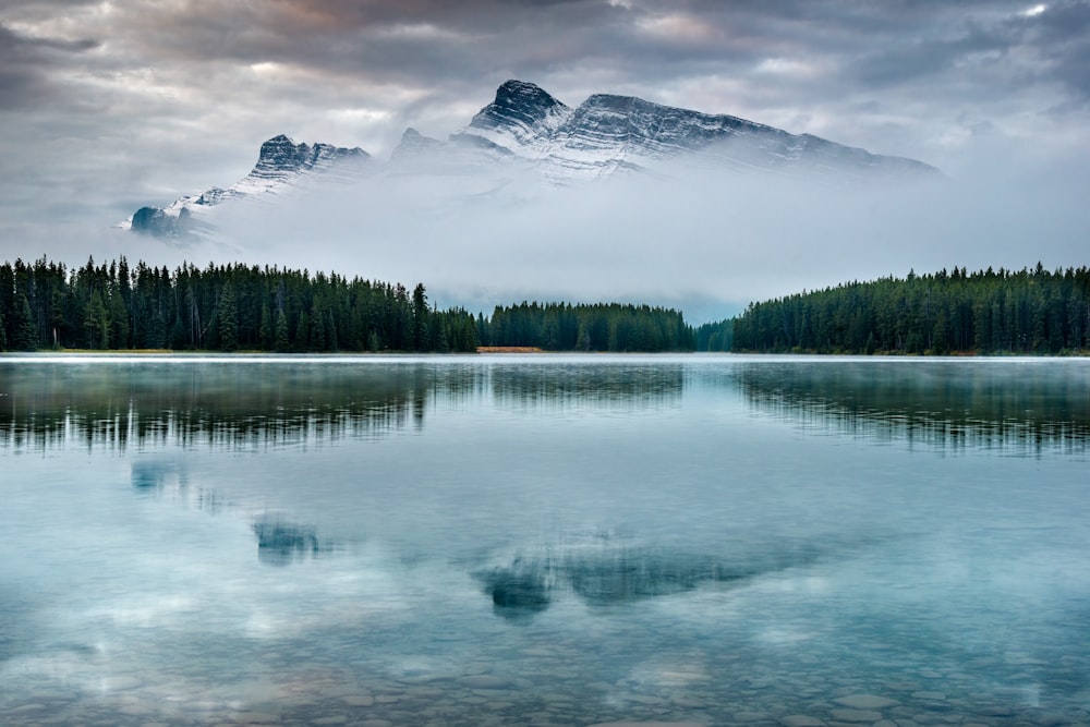 snow-capped mountain near body of water and trees