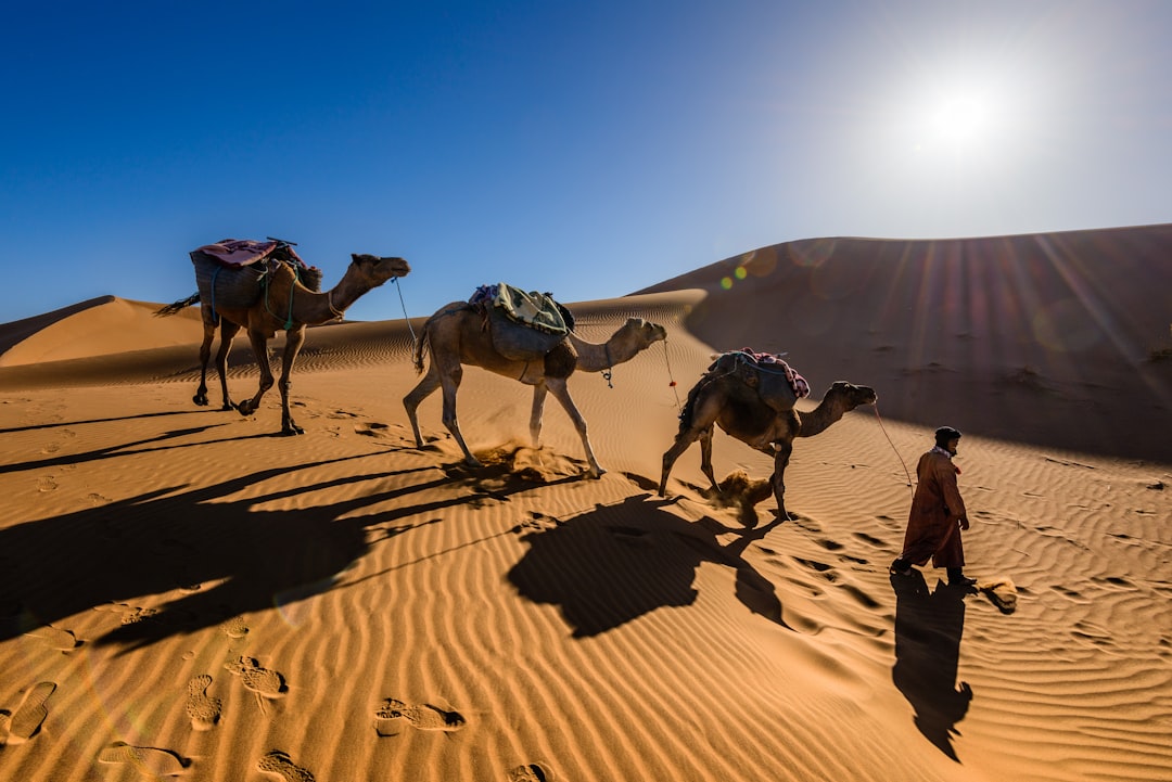 Desert photo spot Sahara Desert Morocco Iriqui National Park