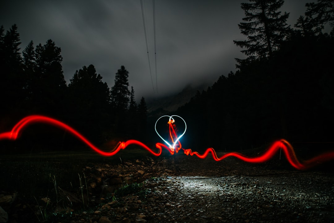 timelapse of heart shape with silhouette of trees