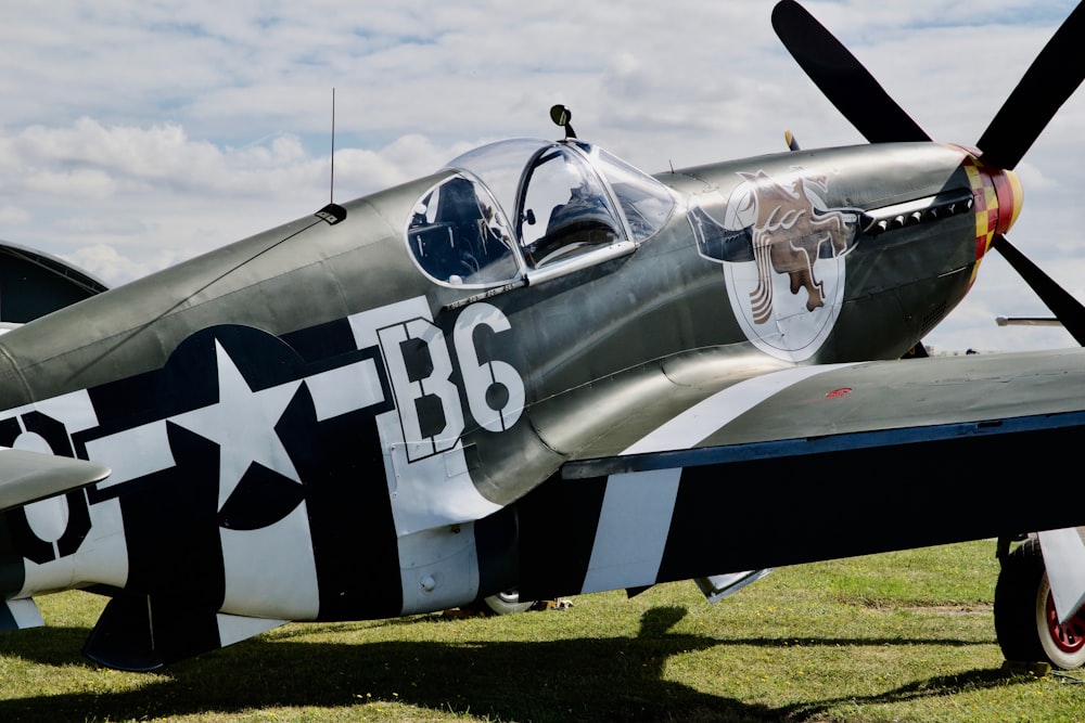 Avion de chasse gris et noir de la Seconde Guerre mondiale garé sur de l’herbe verte pendant la journée