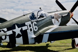 A World War II-era fighter plane, likely a P-51 Mustang, is displayed on a grassy field. The aircraft features military insignia, including a white star inside a black circle on the fuselage and a colorful nose art of a horse. The sky in the background is partially cloudy.