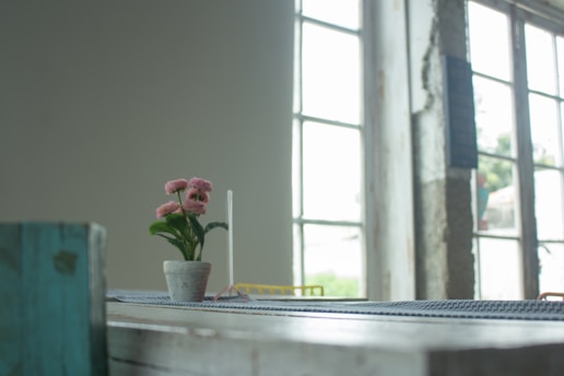 Calm, spacious room with natural light and pink floral accents