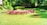 A well-maintained garden with vibrant flowers and trimmed hedges.