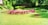 A well-maintained garden features clusters of vibrant pink and purple flowers arranged in a circular pattern. Surrounding them is a lush, green lawn with trimmed hedges and trees forming the backdrop. The sunlight casts soft shadows, enhancing the vivid colors and serene atmosphere.