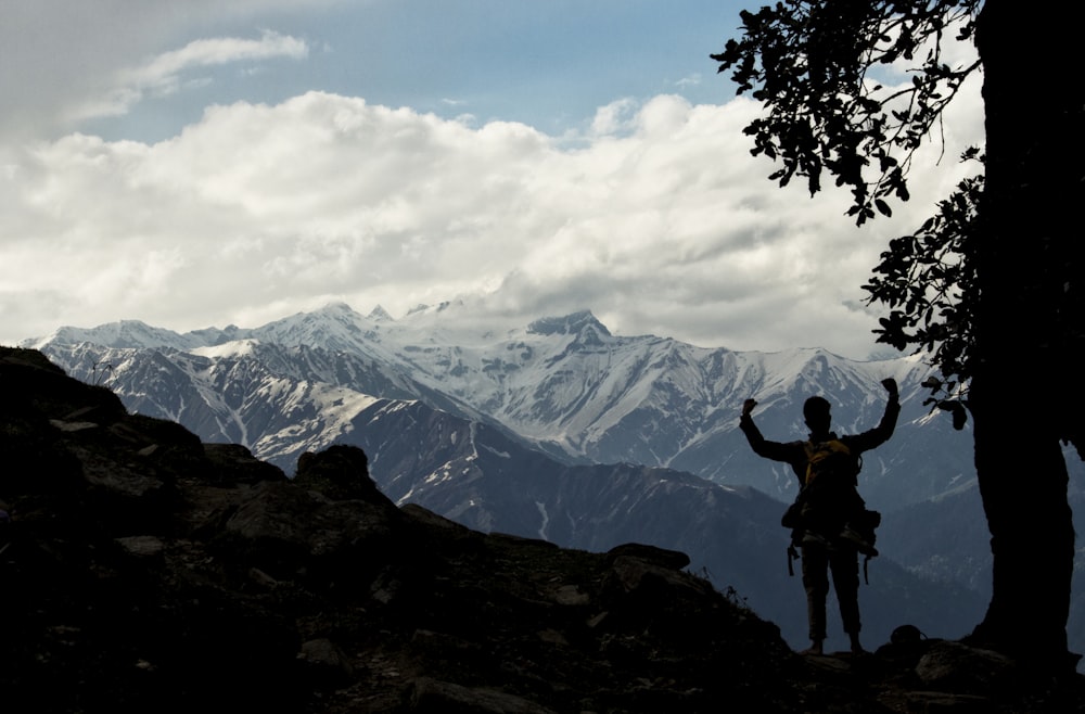 uomo in piedi vicino all'albero di fronte alla montagna