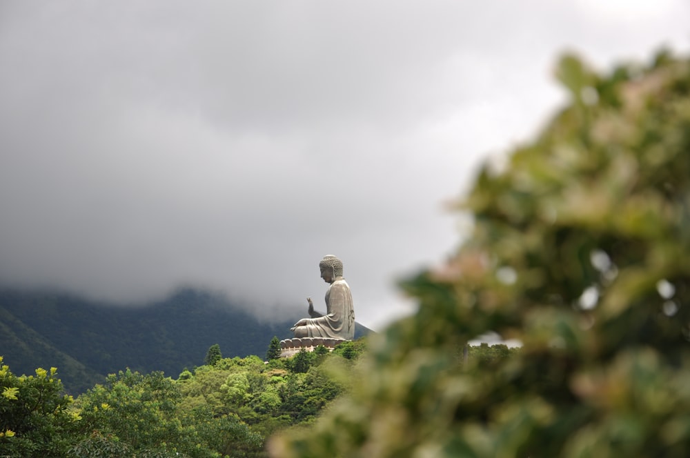 statua di Buddha in cemento grigio sopra la montagna sotto il cielo bianco