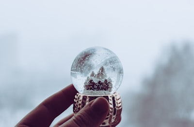person holding waterglobe snowball teams background