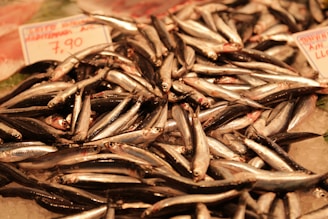 A large pile of fresh, small silver fish is displayed on ice at a market. The fish have a shiny appearance, and there is a visible price tag indicating 7.90. The fish are neatly arranged and appear to be sardines or a similar type.
