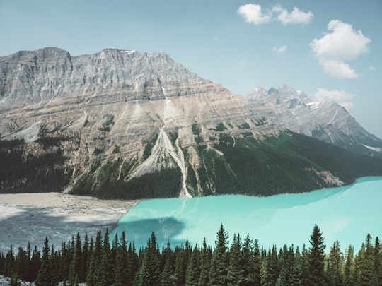 panoramic photography of mountain beside water in Peyto Lake Canada