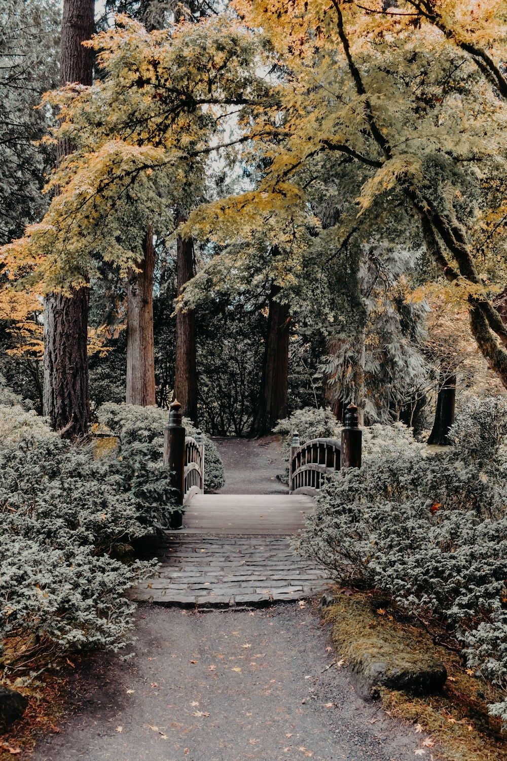 arc bridge between trees during daytime