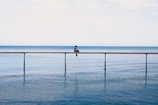 photo of Aarhus Shore near Nationalpark Mols Bjerge